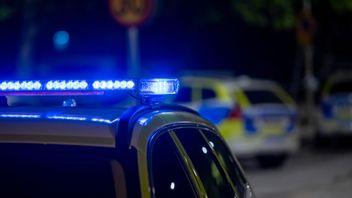 Arkivbild. Foto: Johan Nilsson/TT