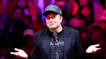 Han sa att han skulle göra det. Nu gör han det på riktigt – Trump utser Elon Musk till chef för en ”antislöserimyndighet”. Foto: AP