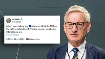 Carl Bildt. Foto: Stefan Jerrevång/TT