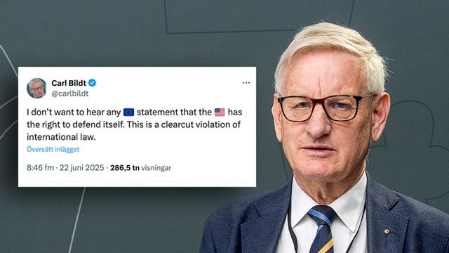 Carl Bildt. Foto: Stefan Jerrevång/TT