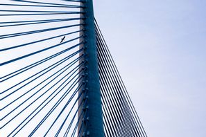 Arkivbild på en annan snedkabelbro. Darko Vojinovic/AP/TT