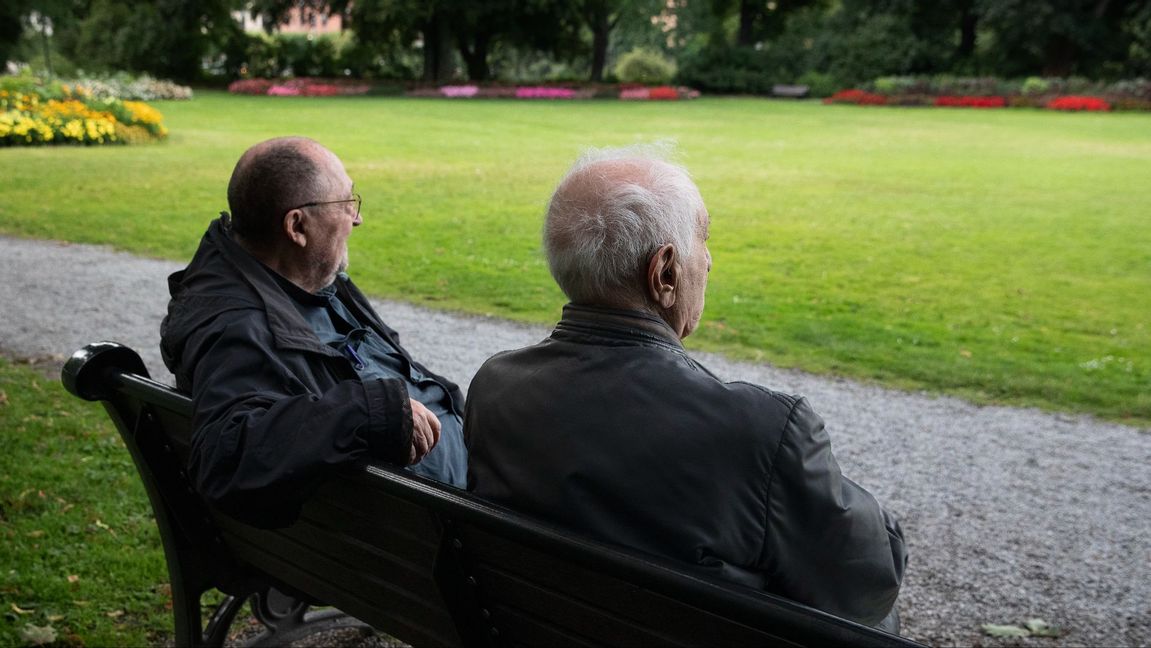 Äldre män på parkbänk i ett grönområde på Djurgården. Foto: Mickan Mörk / TT