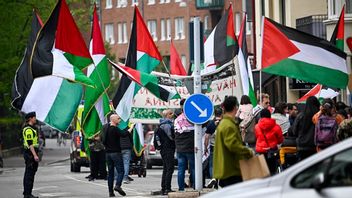 Schatz kritiserar vad han kallar ”flörten med Palestinavänstern” i svensk politik. Bilden visar en pro-palestinsk demonstration. Arkivbild. Foto: Johan Nilsson/TT.