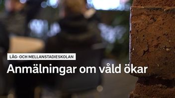 Bild: Faksimil SVT Play