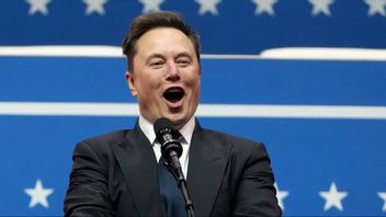 Elon Musk attackerar Polens utrikesminister på X. Foto: AP