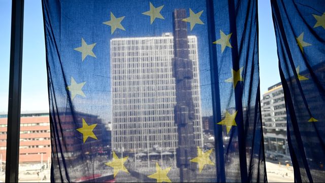 Det svenska syftet med medlemskapet i EU är dolt bakom slöjor. Foto: Pontus Lundahl/TT