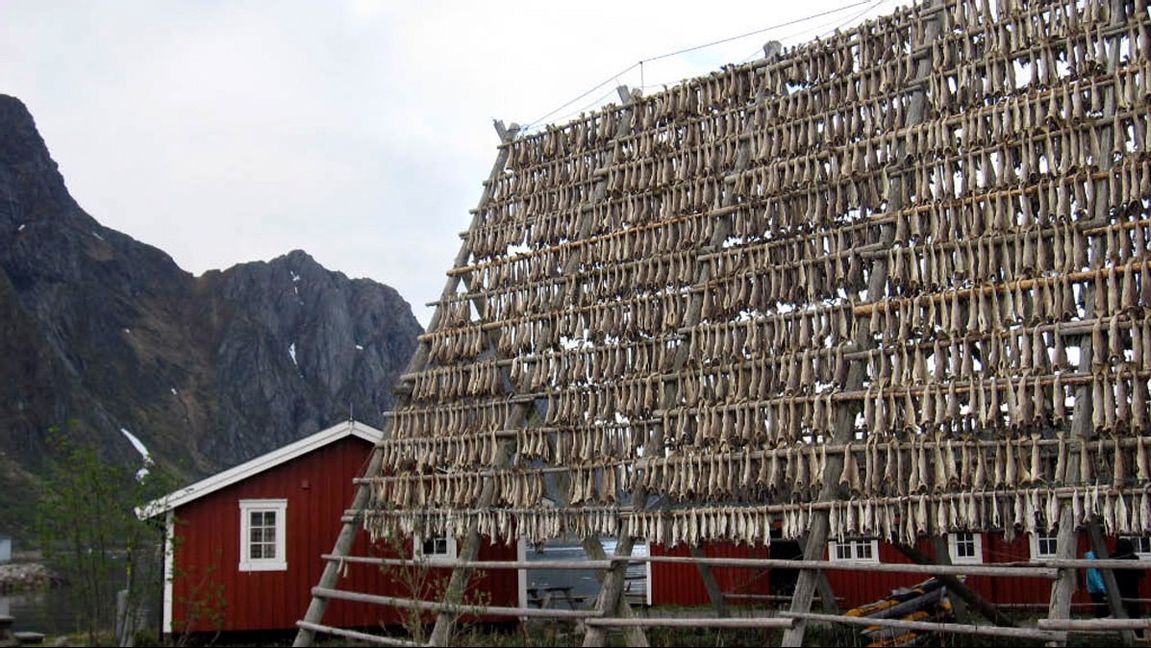 Norsk ekonomi växer oväntat snabbt, bland annat tack vare ett lyft för fisket. Arkivbild. Foto: Sheila Norman-Culp AP/TT