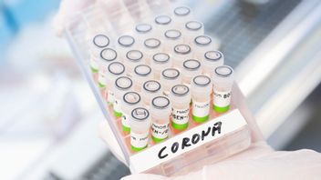 Det finns många teorier om varifrån viruset kom. sdl_L2mcaeaFoU   Foto:	Julian Stratenschulte/TT