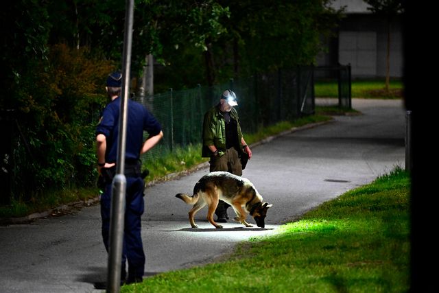 Polis på plats med hundförare i Vårby i Huddinge söder om Stockholm efter att en man skjutits på fredagskvällen. Anders Wiklund/TT