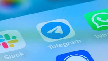 Bild: Magnus Lejhall / TT