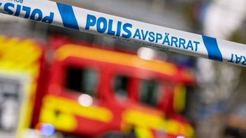 Arkivbild. Foto: Johan Nilsson/TT