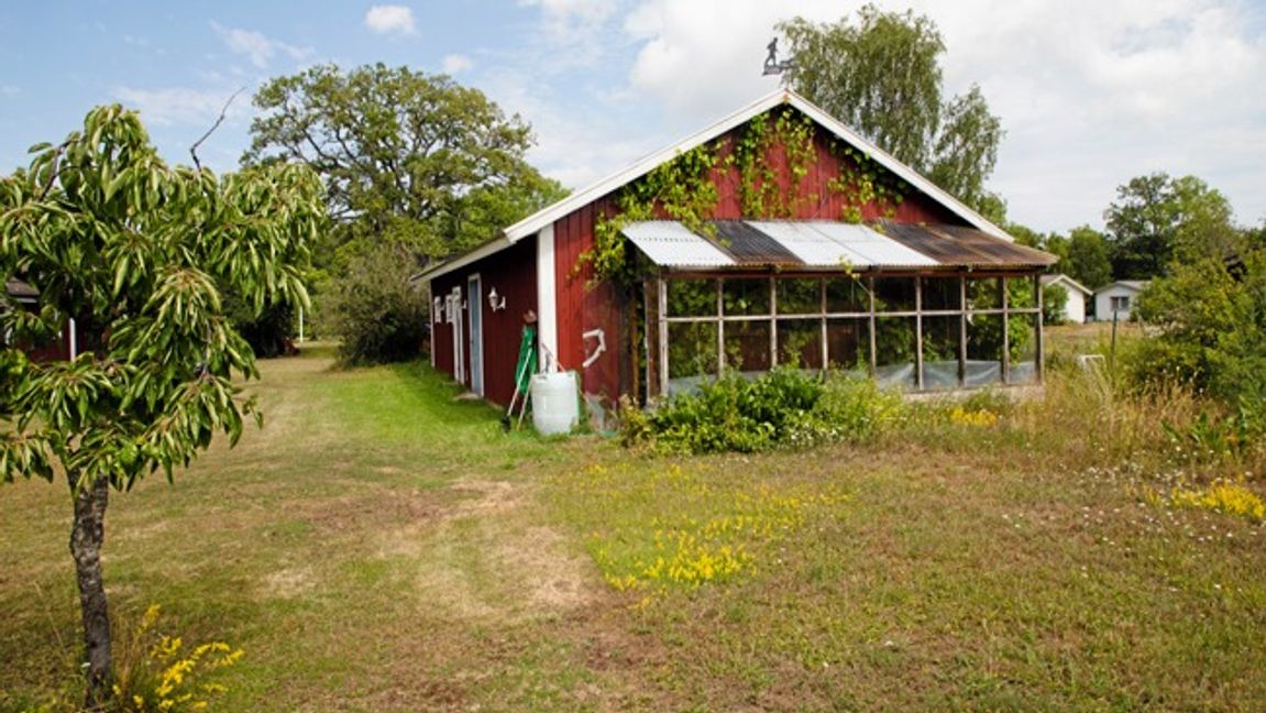 En sommarstuga på Öland. Genrebild.  Foto: Martina Holmberg / TT.