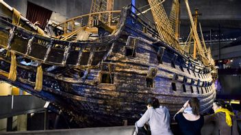 Aktivisterna kommer inte stoppa torvbrytning utan stoppa närheten till skeppet. Foto: Claudio Bresciani / TT 