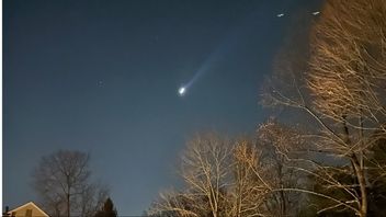 Möjliga drönare fångade på bild i New Jersey, USA. Foto: AP