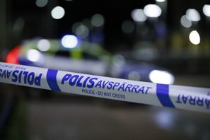 Ett fårhuvud har placerats utanför ett företag i Malmö. Arkivbild. Foto: Caisa Rasmussen/TT