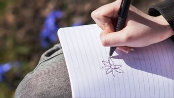 Genrebild. Foto: Caisa Rasmussen / TT / 