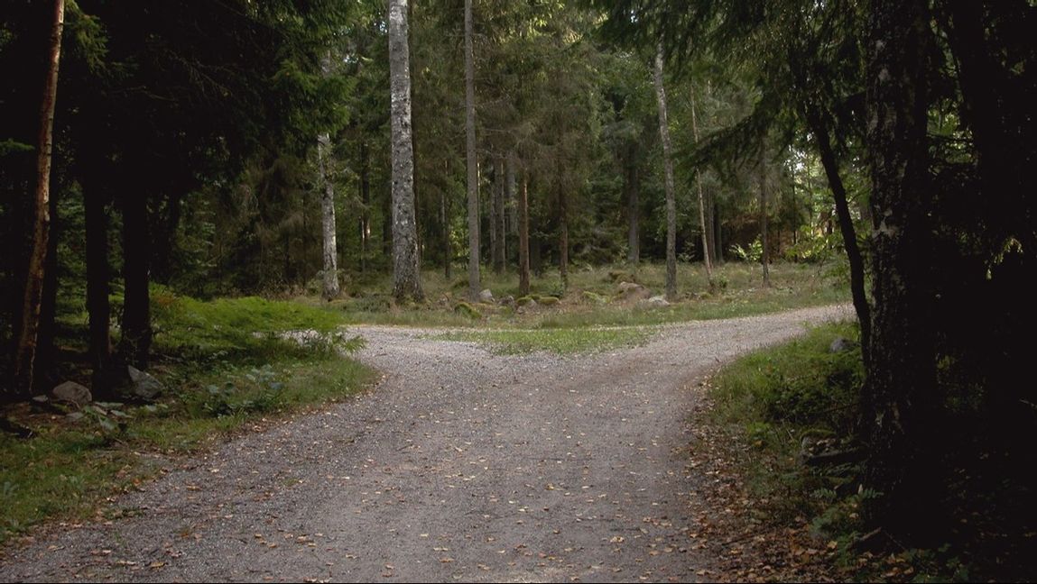 De nordiska länderna står inför ett vägskäl. FOTO: HASSE HOLMBERG / TT