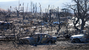 Mauis största stad Lahaina efter förra veckans bränder. Foto: Rick Bowmer/AP/TT