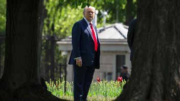 Foto: Mark Schiefelbein/AP/TT