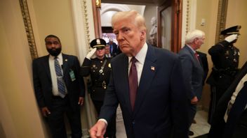 USA:s president Donald Trump. Statistik visar att antalet amerikaner som ansöker om brittiskt medborgarskap har fördubblats sedan 2004 och nådde rekordnivåer efter Trumps återval 2024. Foto: Win McNamee/AP/TT