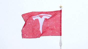 Genrebild. Tesla i Segeltorp, södra Stockholm. Foto: Jessica Gow/TT