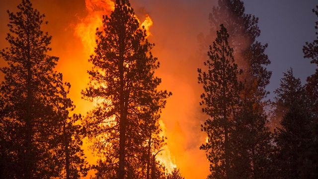 Skogsbränder kan kräva storskaliga evakueringar. Foto: Forest Service, USDA (Public domain)