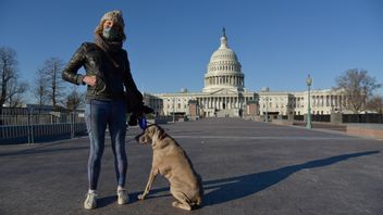 Nicky Sundt och hunden Blue utanför Kapitolium dagen efter oroligheterna i USA:s kongress, som stormades av demonstranter, anhängare till avgående presidenten Donald Trump. Foto: Mattias Lundblad/TT