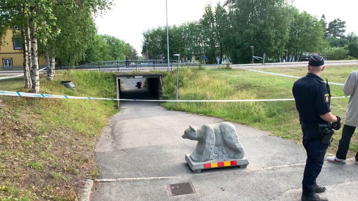 Gångtunneln i närheten av mordplatsen. Foto: SVT