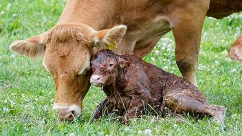 Genrebild: Terje Pedersen / NTB