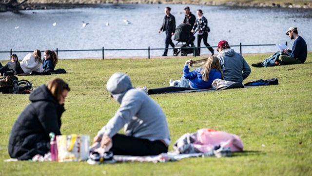Foto: Johan Nilsson / TT.
