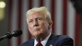 Donald Trump. Foto: Alex Brandon/TT