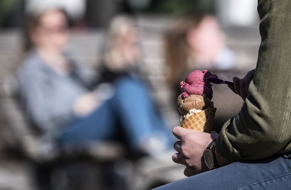 Meteorologisk vår uppmättes på tre kuststationer förra veckan. Arkivbild. Foto: Johan Nilsson/TT