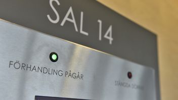 Rapartisten som misstänks för kidnappning omhäktas. Foto: Noella Johansson/TT