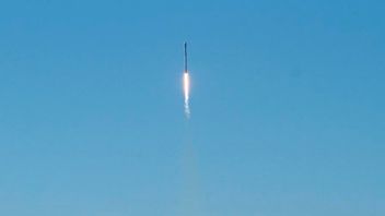 Space X-raket exploderade vid landning. Foto: Matt Hartman/TT.