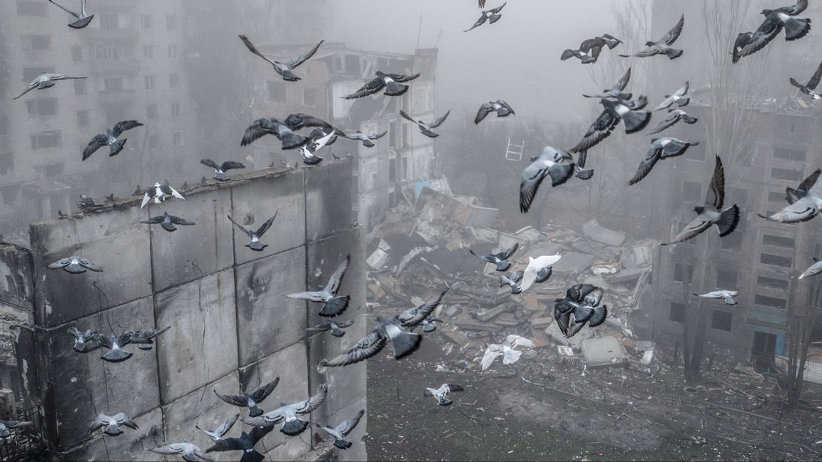 Realpolitikens fredsduvor lyfter över Donbass? Fåglar flyger över ruinerna till det som var den ukrainska staden Kostyantynivka i östra Ukraina den 28 november 2025. Foto: Oleg Petrasiuk, Ukrainas 24:e mekaniserade brigad via AP.