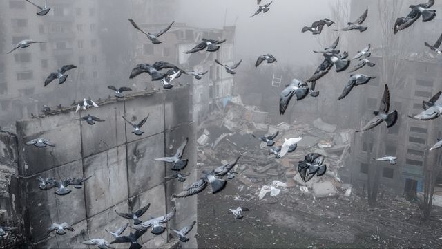 Realpolitikens fredsduvor lyfter över Donbass? Fåglar flyger över ruinerna till det som var den ukrainska staden Kostyantynivka i östra Ukraina den 28 november 2025. Foto: Oleg Petrasiuk, Ukrainas 24:e mekaniserade brigad via AP.