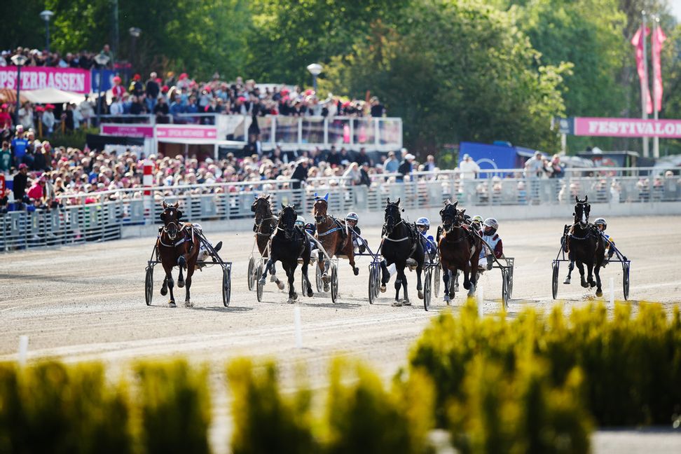 V75 blir V85 i höst. Arkivbild. Foto: Caisa Rasmussen/TT