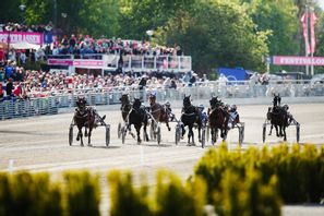 V75 blir V85 i höst. Arkivbild. Foto: Caisa Rasmussen/TT