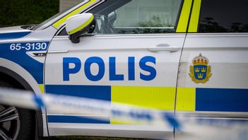 Vapenfrågor borde flyttas från polisen. Foto: Johan Nilsson/TT 