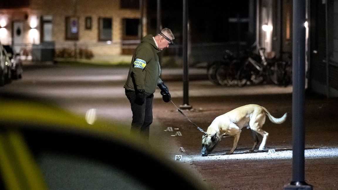 Polis med vapenhund och kriminaltekniker på plats i Mariastaden i Helsingborg tidigt på påskaftons morgon. Foto: Johan Nilsson/TT