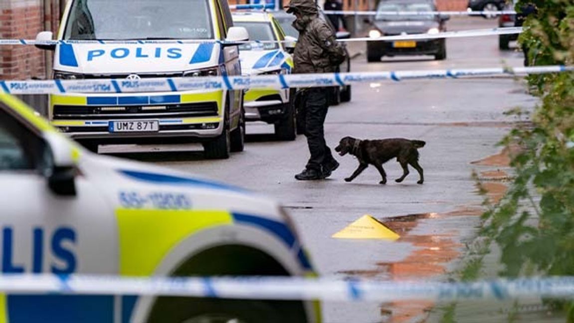 Polisen söker med vapenhund efter en misstänkt skottlossning i Malmö. Johan Nilsson/TT