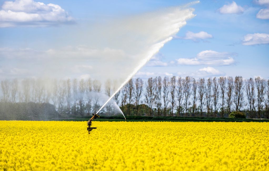 Centerpartiet vill ge mer stöd till lantbrukare som vill bygga bevattningsdammar. Arkivbild. Foto: Johan Nilsson/TT