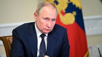 Den ryske presidenten Vladimir Putin. Foto: AP/TT