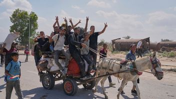 Palestinier hämtar mat vid en leveranspunkt för Gaza Humanitarian Foundation. Foto: AP