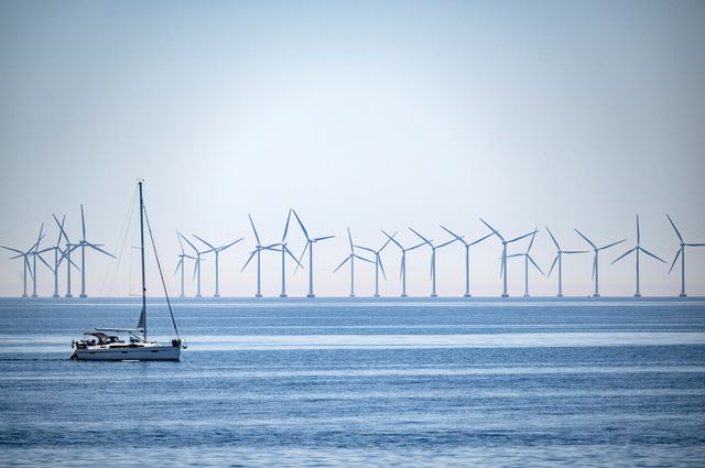 Branschen räds klen fart på vindkraften från regeringen. Arkivbild. Johan Nilsson/TT