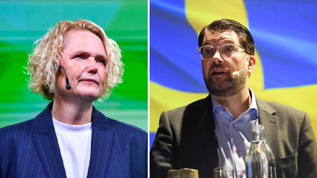 Centerpartiet röstar mer likt Sverigedemokraterna än Socialdemokraterna i riksdagen. Men samarbete med SD utesluts fortfarande. Foto: Lars Schröder/Oscar Olsson/TT