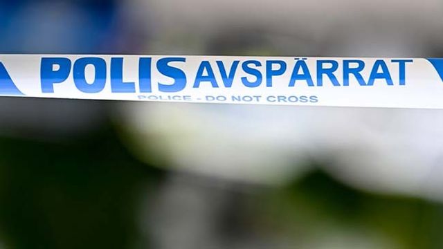 Flera hundar hittades döda i en frys på en gård i Västerbottens inland. Arkivbild. Foto: Mikael Fritzon/TT