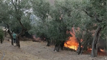 Kraftiga vindar och skogsbränder tvingar tusentals att lämna sina hem på Kreta. Foto: Euronews via YouTube