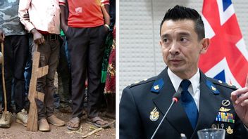 Andy Kraag (t.h), högt uppsatt chef inom Europol, larmar om det svenska gängfenomenet. Foto: Sam Mednick/AP/TT/Peter Dejong/AP/TT.