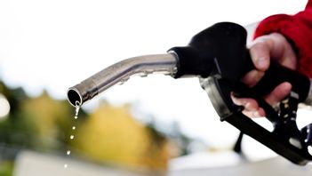 Arkivbild. Foto: Pontus Lundahl/TT